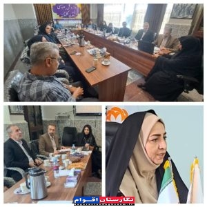 برگزاری جلسه کمیته سلامت روان بهزیستی گلستان با هدف تقویت روحیه و انگیزه کارکنان