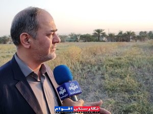 خرید حمایتی پیاز با 7 مرکز فعال و پرداخت ۷۳ درصد مطالبات کشاورزان