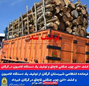کشف ۱۰ تن چوب قاچاق در گرگان؛ دستگیری عامل تاراج منابع ملی