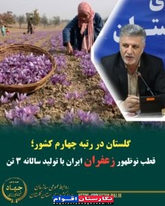 قطب نوظهور زعفران ایران با تولید سالانه ۳ تن